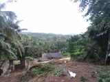 Land for Sale - Karapitiya