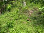 Land for Sale Karapitiya