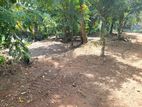 LAND FOR SALE- KARAPITIYA