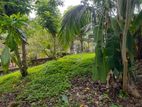 Land for Sale Karapitiya