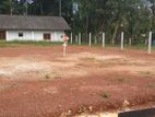 Land for Sale Katana