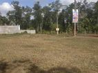 Land for Sale Katana