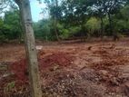 Land for Sale Kataragama - කතරගම දෙටගමුව (ගම්උදාව)