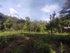 Land for Sale Katugasthota