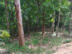 Land for Sale Katugasthota