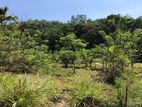 Land for Sale - Katugasthota