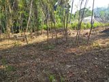 Land for Sale Katugastota