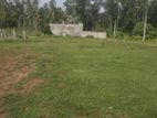 Land for Sale - Katunayaka