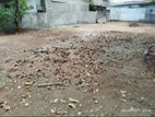 Land for Sale Katuwawala Boralesgamuwa