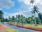 Land for Sale කඩවත