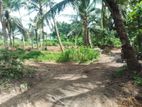 Land for Sale කඩවත