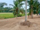 Land for Sale කඩවත