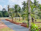 Land for Sale කඩවත - කිරිල්ලවල