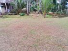 Land for Sale Kegalla Walagama Dewalegama