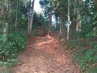 Land for Sale Kegalle