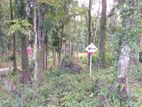 Land for sale kegalle