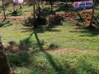 Land for Sale Kegalle : Molagoda