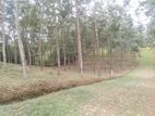 Land for Sale Kekuladola