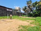 Land for Sale - Kelaniya