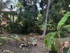 Land For Sale Kelaniya