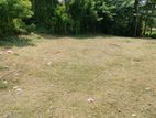 Land for sale Kelaniya