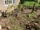 Land for Sale Kerawalapitiya