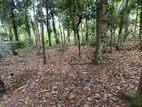 Land for Sale kesbewa Halpita