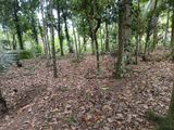 Land for Sale kesbewa Halpita