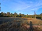 Land for Sale Uttuppulam
