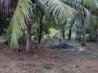 Land for Sale Kilinochi Jayapuram