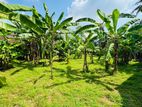 Land for Sale Kiribathgoda