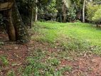 Land For Sale Kiribathgoda