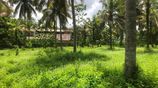 Land for Sale Kiribathgoda