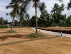 Land for Sale Kirillawala