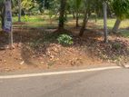 Land For Sale Kirillawala