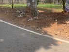 Land For Sale Kirillawala