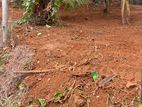 Land For Sale Kirillawala