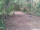 Land for Sale Kirillawala, Kadawatha