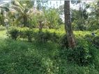 Land for Sale Kirindiwela