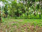 Land for Sale Kirindiwela