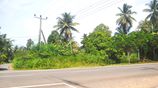 Land For Sale Kirindiwela, Gampaha District