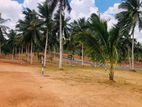 Land for sale kiriwaththuduwa