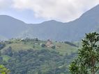Land for Sale Knuckles Hunnasgiriya