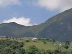 Land for Sale Knuckles Hunnasgiriya