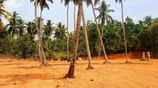 Land For Sale-කොළඹ-කුලියාපිටිය මාර්ගයට මුහුණලා