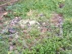 Land for Sale Kolonnawa