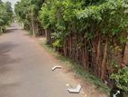 Land for Sale கோண்டாவில்