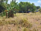 Land for Sale Koppay