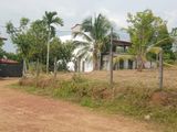 Land for Sale – Kosgama
