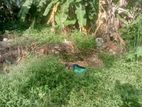 Land for Sale Kotikawatta